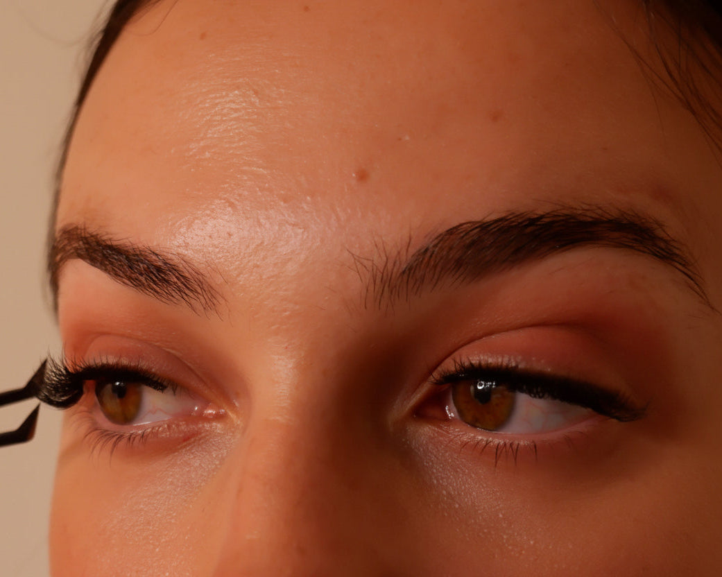 Honey Lash