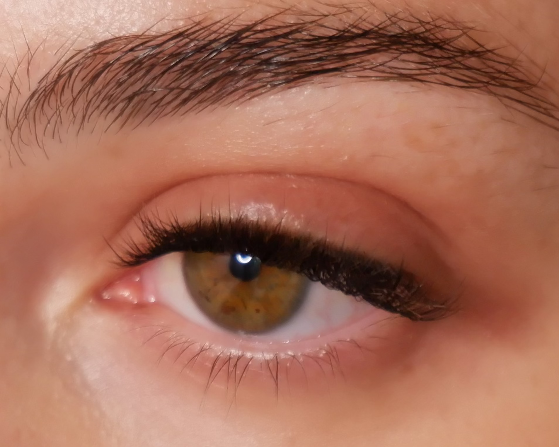 Honey Lash